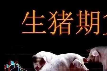 生猪运输保险怎么买