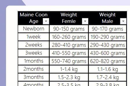 1岁猫咪体重标准表