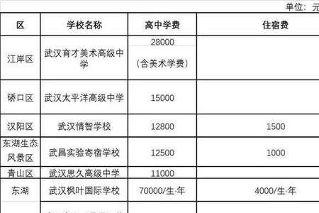 武汉市多少民办高中