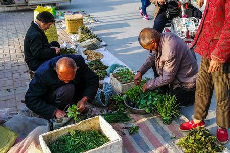 成都那里有卖菜苗的