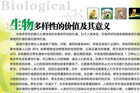 仿生学是生物多样性的什么价值