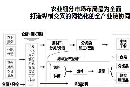 嘉吉榨油厂国内有几个