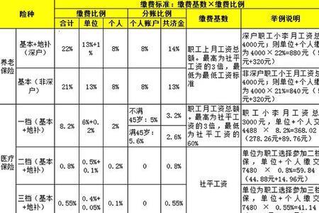 医保比例百分百什么意思