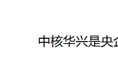 兆芯是国企还是央企