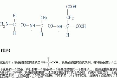 ch3ch2ooh是什么物质