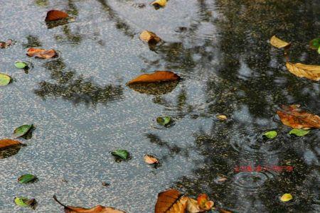 一出门就下雨的诗意