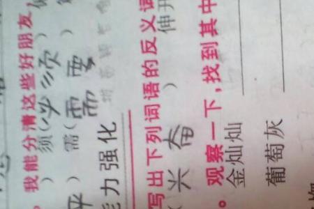 什么苍什么茫的四字成语