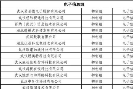 武汉锐奥特科技有限公司怎么样