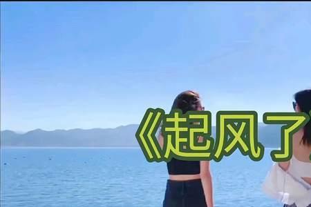 男生发起风了歌曲有什么意思