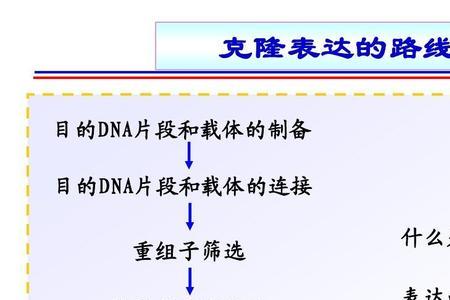 f引物和r引物的区别