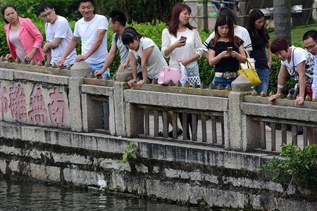 深圳哪里有放生乌龟的地方