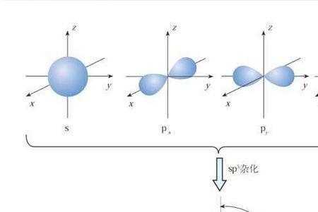 什么物质的杂化轨道是dsp