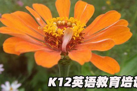 k12机构有哪些