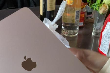 ipadair5关于本机那里查不到保修