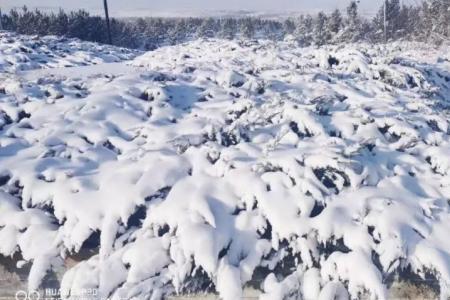 张家口每年几月下雪