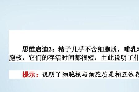 细胞核与细胞质相互依存的实例