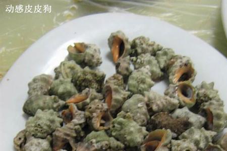 苦螺蒸几分钟合适