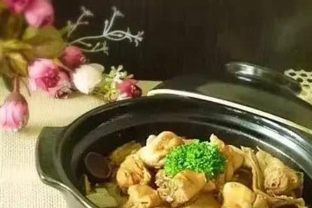 三黄鸡炖白菜怎么炖