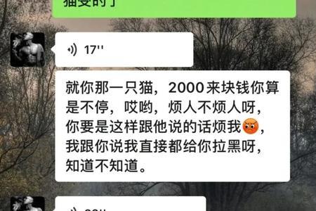 哈啰送货可以送猫吗