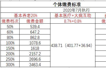 宜昌社保个人和公司缴费标准