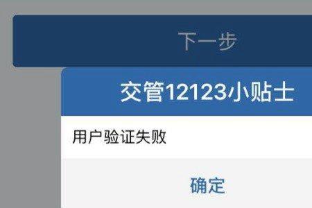 12123重置密码审核需要多长时间