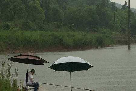 谷雨后钓鱼口诀