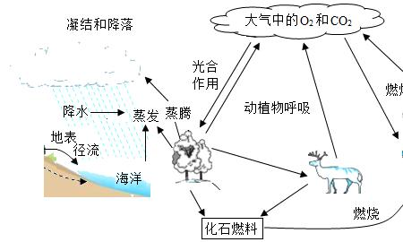 碳和氧气反应类型