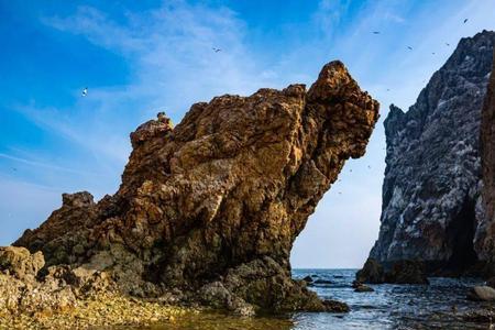 大坨子岛能钓海富吗