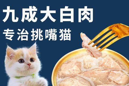 猫怀孕可以吃鱼罐头吗