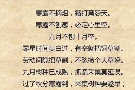 一辈传一辈上句内蒙古谚语