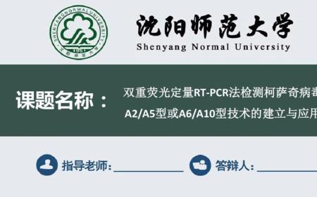 沈阳化工大学保研能去哪