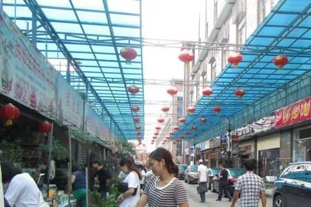 福州有几家花鸟市场