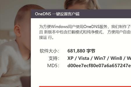 onedns是哪个公司的