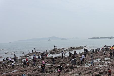 崇明西沙明珠风景区能赶海吗