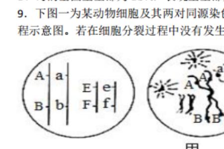 哪种动物拥有最多的染色体对数