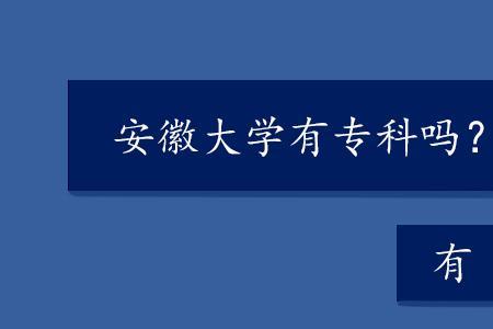 笨笨学院是大专吗