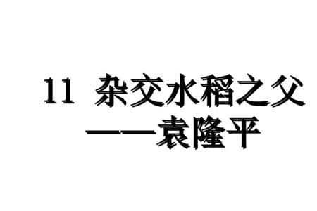 水稻之父四个字怎么写