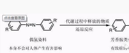 gimenez是什么染色方法