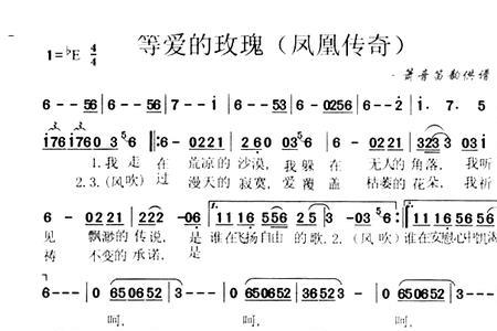 受伤的玫瑰是什么意思