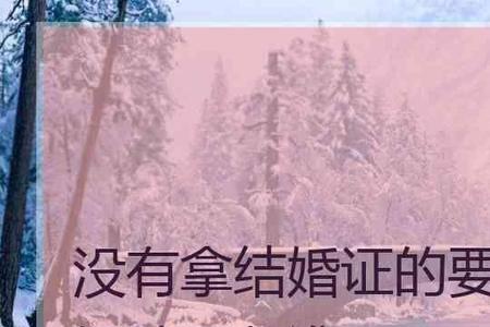 离异无孩是什么意思