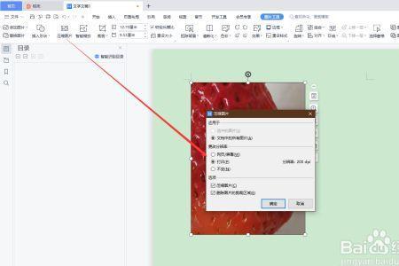 wps邮件合并插入照片压缩就不见了