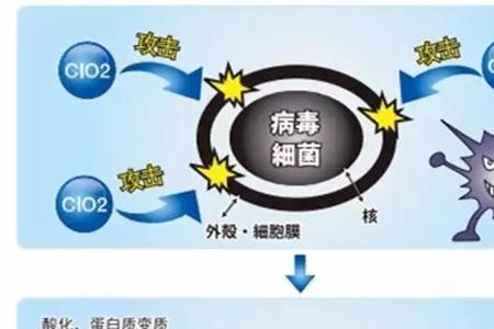 二氧化氯杀螺吗