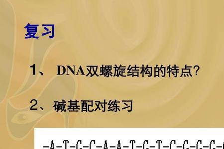 DNA单链上相邻的碱基以什么键连接