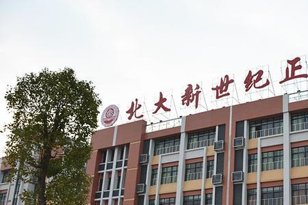 阜阳北大新世纪附属学校学费