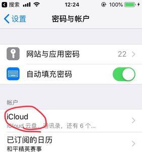 苹果13如何清除icloud