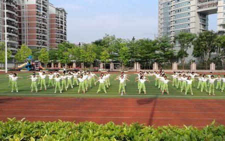 中山火炬开发区第一小学怎么样