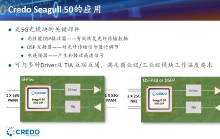 seagull strategic是什么公司