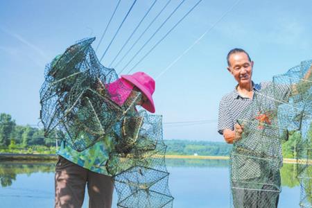 刚从河里捞出来的小龙虾怎么养