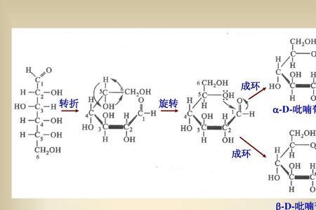 葡萄糖生物电池负极反应方程式