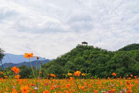 盛夏初秋什么意思